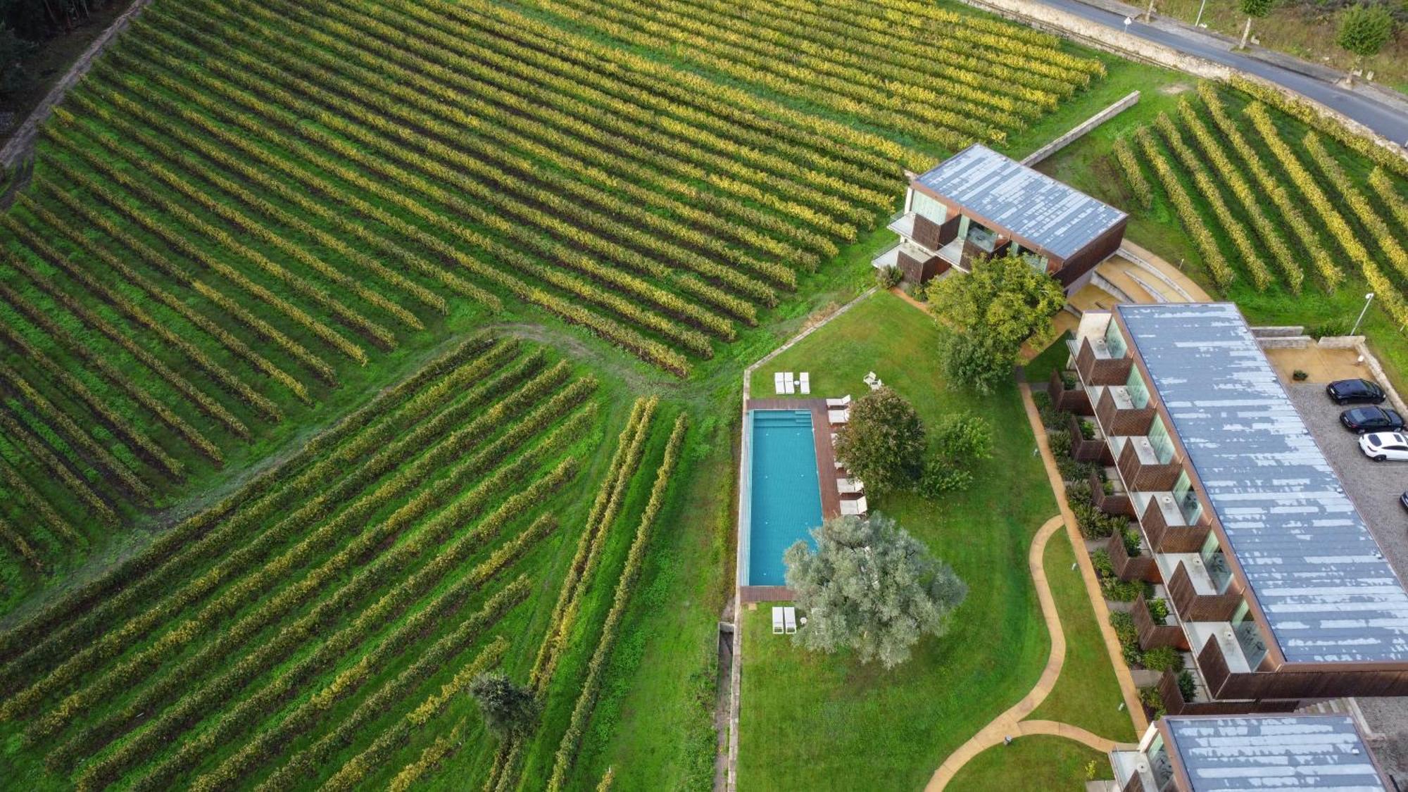 Torre De Gomariz Wine & Spa Hotel Cervães Eksteriør billede